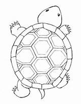 Turtle Coloring Pages Tattoo Mosaic Patterns Drawing Sea Designs Simple Pattern Turtles Cute Shell Colouring Tortue Printable Tattoos Walking Outline sketch template