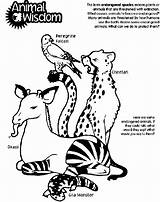 Coloring Extinct Animals Designlooter Gif Drawings Give Learn Printable Them Help Kids sketch template