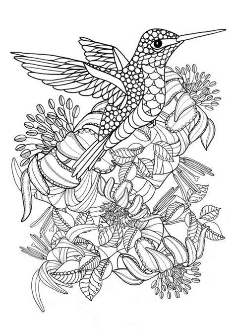 top  ideas  adult coloring pages birds home family style