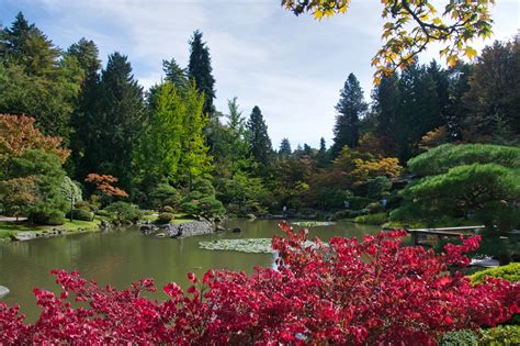 seattle japanese garden community blog
