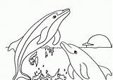 Coloring Dolphin Pages Printable Kids Popular sketch template