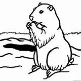 Groundhog Marmotte Marmot Hog Coloring4free Marmota Rigolote Montagne Laguerche Colorear Cliparting 1140 Wikiclipart sketch template