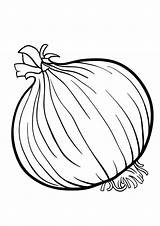Coloring Pages Onion Colors sketch template
