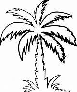 Palm Tree Drawing Clipart Trees Outline Silhouette Computer Icons Transparent Tropical Branch Clip Drawings Plant Leaf Svg Cliparts Vector sketch template