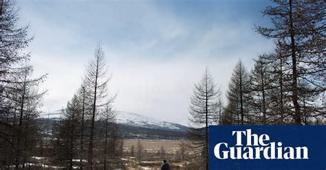 mongolia s reindeer herders in pictures news the guardian