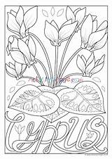 Colouring Cyprus Flower National Pages Village Activity Explore sketch template