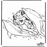 Animals Coloring Pages Water Dophins Category sketch template
