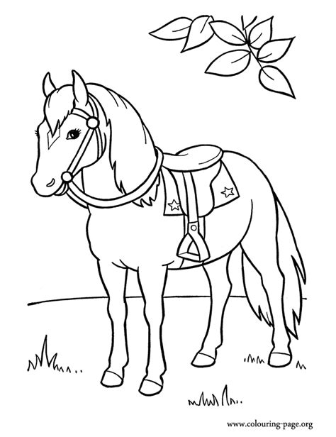 horses  elegant horse coloring page