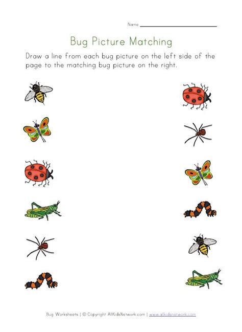 bugs worksheet  kids picture matching printable preschool