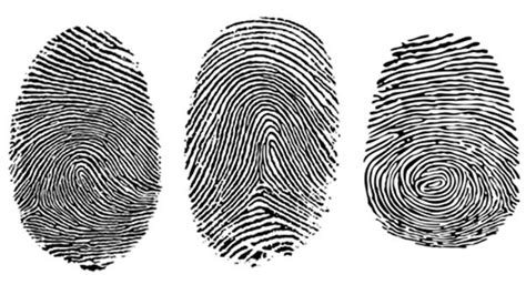 durable   fingerprint bbc news