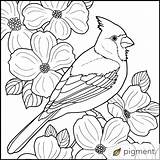 Coloring Cardinal Bird Pages Winter Drawing Printable Colouring Patterns Birds Cardinals Wood Books Red Crafts Painting Snowmen Wooden Diy Many sketch template