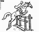 Cheval Saute Cavalier Saut Cavaliere Imprimer Salto Cavallo Cavalo Paard Cavaleiro Ruiter Sprong Colorir Sprung Obstacles Paardensport Kleurplaten Equestri Desportos sketch template