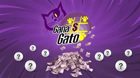 Lotería Nacional Dónde Ver El Gana Gato En Vivo Y La Lista De