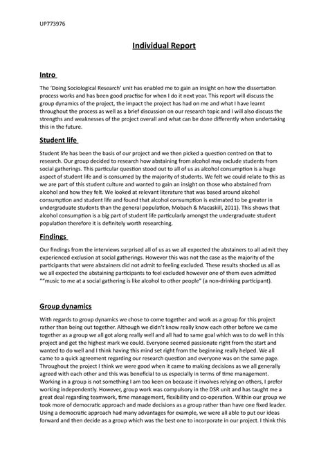 individual report sample  group project software engineering