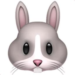 rabbit face emoji uf