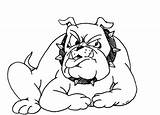 Bulldog Coloring Pages Georgia Bulldogs English American Nederland Printable Havanese Tx Getcolorings Color Pag Puppy Print sketch template