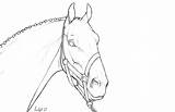 Breyer sketch template