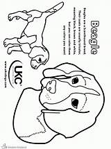 Coloring Pound Puppies Pages Colouring Popular Coloringhome sketch template