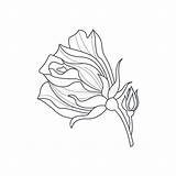 Monochome Bud Coloring sketch template