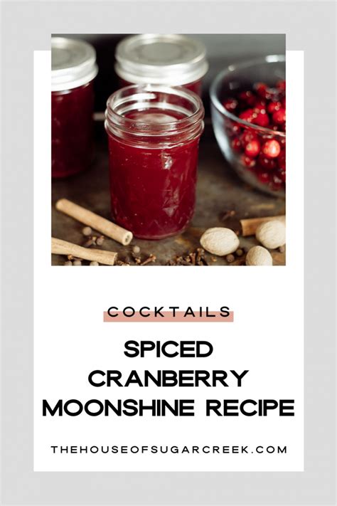 Spiced Cranberry Moonshine