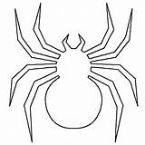 Spiders Tarantula sketch template