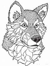 Coloring Pages Wolf Adults Adult Printable Mycoloring Wolves Color sketch template