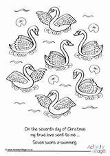 Swans Swimming Seven Colouring Pages Become Member Log Village Activity Explore sketch template