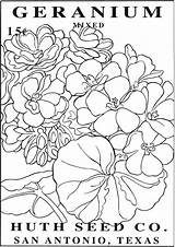 Coloring Flower Seed Packets Pages Vintage Book Doverpublications Dover Colouring Publications Drawing Bigger Make Click sketch template