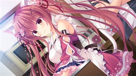 neko nin exheart 2 pc screens and art gallery cubed3