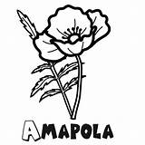 Amapola Amapolas Dibujo Colorea Faciles Imprime Gratis Guiainfantil sketch template