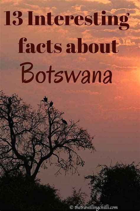 25 Interesting Facts About Botswana Artofit