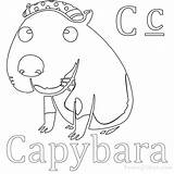 Coloring Capybara Pages Getcolorings Color sketch template