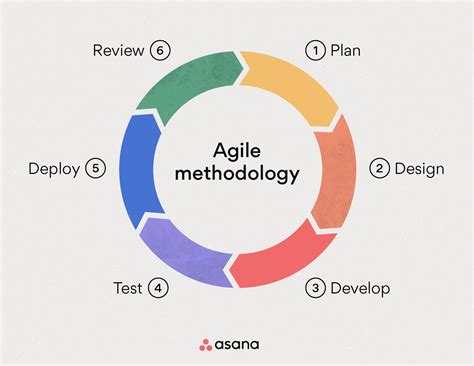 agile methodology  beginners guide asana