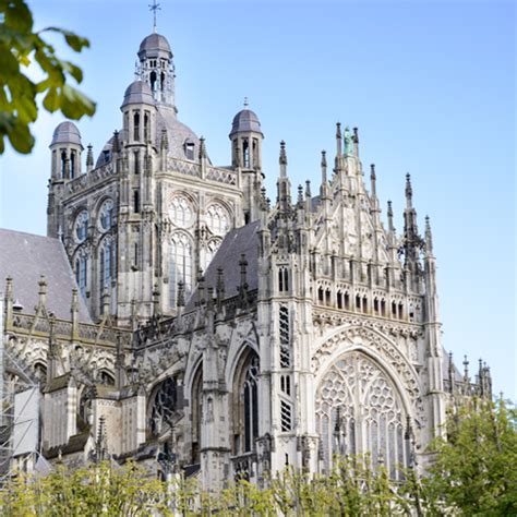 morfine majestueus besnoeiing kathedraal st jan den bosch nl medic dwaas longontsteking