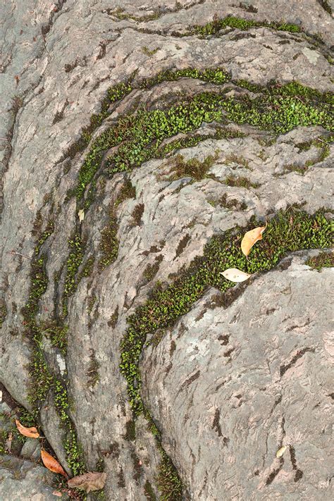 photo mossy stone curves backdrop rocky rock