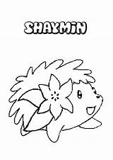 Coloring Shaymin Pages Pokemon Getcolorings Getdrawings Colorings Sky Form sketch template