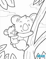 Koala Coloring Pages Koalas Bear Template Color Kids Visit Sheets sketch template