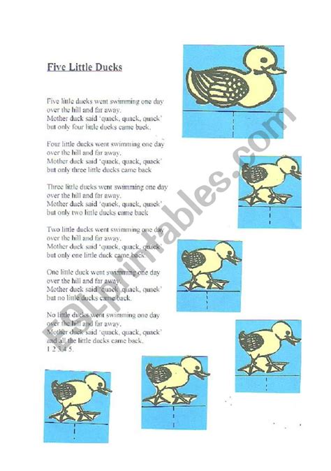 ducks activity esl worksheet  yetigumboots