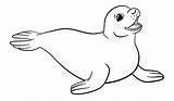 Mewarnai Anjing Laut Binatang Hewan Kartun Animasi Kumpulan Aneka sketch template
