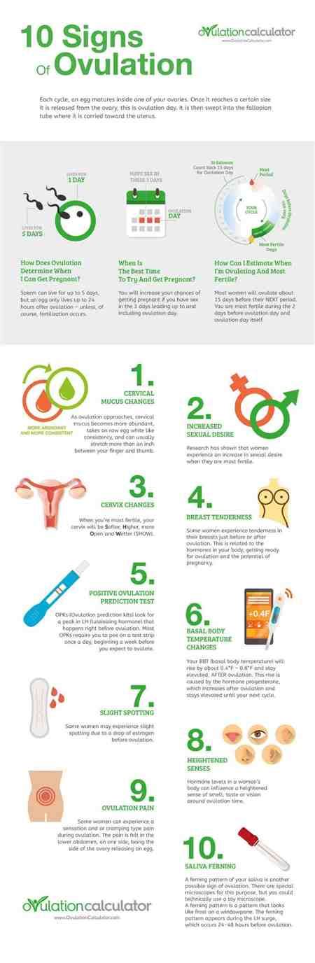 Ovulation Symptoms 9 Signs Of Ovulation Menopause Core