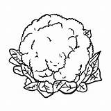 Cauliflower Bloemkool Groenten Indiaparenting sketch template