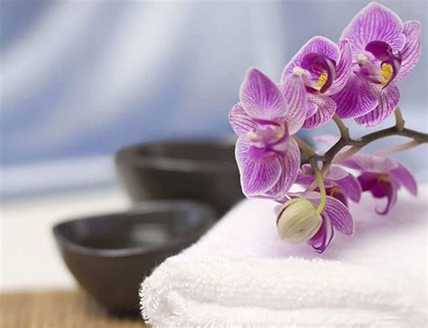thai orchid massage spa   remedial massage  alexandria