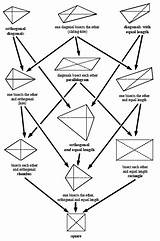 Quadrilaterals Diagonals Math4teaching sketch template