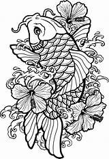 Koi Fish Tattoo Outline Drawing Japanese Pez Coy Para Line Vectors Coloring Pages Tattoos Hibiscus Flower Hawaiian Drawings Clipartmag Vector sketch template