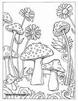 Mushroom Mushrooms Fortuna Pilze Erwachsene Getdrawings Pilz Getcolorings Zenescope Activities Kickstarter Snail Pen Pens Vorlagen Ausmalen 1a sketch template