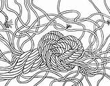 Rope Abstract sketch template