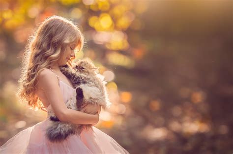 hd girl and cat wallpapers wallpaper cave
