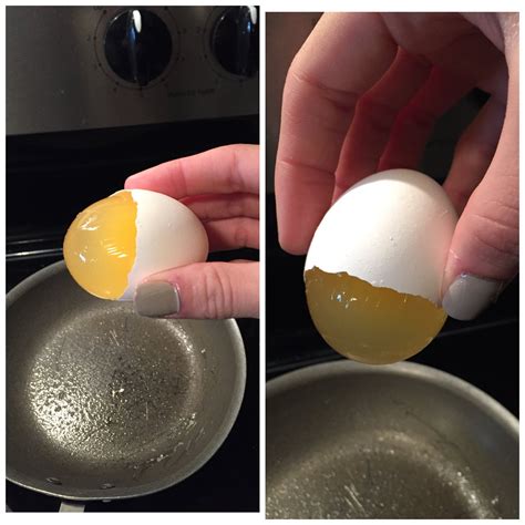 cracked  egg   yolk sac remained intact rmildlyinteresting