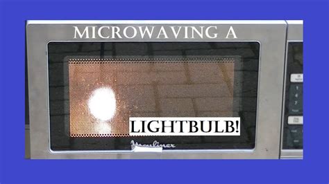 microwave show  led lightbulb youtube