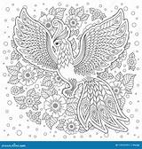 Firebird sketch template